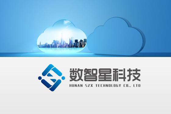 構建智能互聯未來 信息化技術服務的多維賦能與發展路徑
